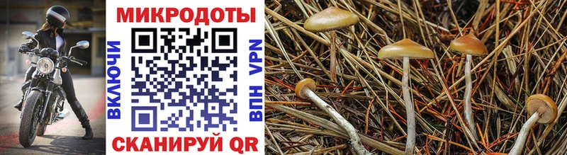 Псилоцибиновые грибы ЛСД наркота Урай